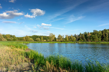Summer landscape with lake.