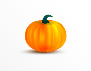 Orange pumpkin vector illustration. Autumn halloween or thanksgiving pumpkin, vegetable graphic icon isolated on white background.