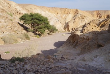 Red Canyon near Eilat in South Israel, Nahal Shani in last sunset light
