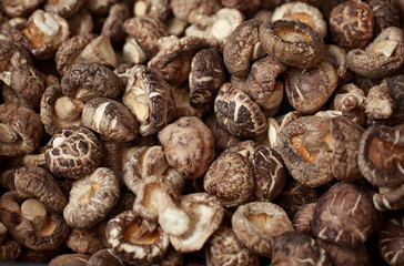 Ganoderma Lucidum Healthy Food Market Yaowarat