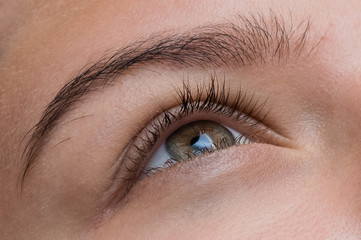 Fototapeta na wymiar Woman Eye with Long Eyelashes. Eyelash Extension