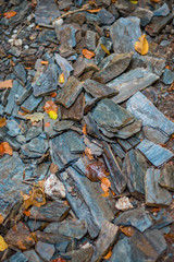 Schiefersteine Wanderweg