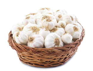 Pile of Fresh Organic Garlic Isolated on White Background