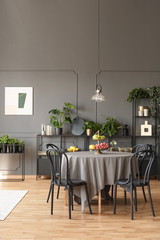 Black chairs at round table under lamp in grey dining room interior with poster and plants. Real...