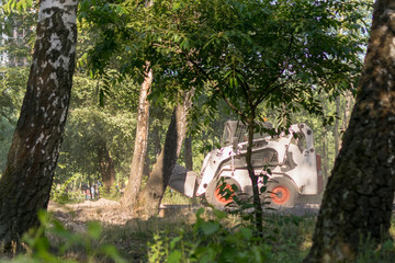 Tractor in the park.