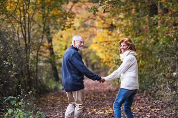 A senior couple walking in an autumn nature holding hands and looking back.