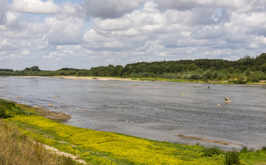 River Loire in Summer