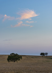 Three Trees Valveron France