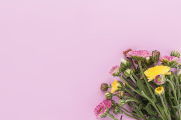 Bouquet of unripe flowers on pink background. Copyspace, free space for text.