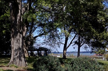 nature 1