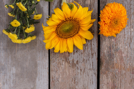 Unripe sunflowers and dahlia flowers. Old vintage wooden desk surface background.