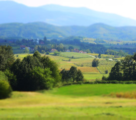 Obraz premium green fields near the mountain 