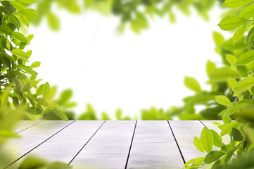 Search Photos Green Leaf