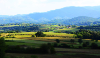 green fields near the mountain
