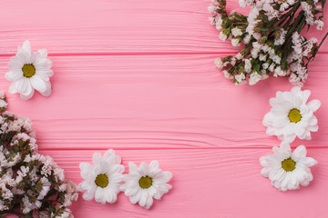 White daisy chamomile and statice flowers on pink wood. Flat lay, top view.