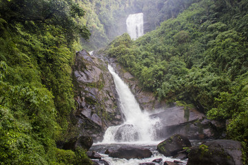 Deer Waterfall - Bocaina Range