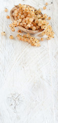 Ripe white currant berries