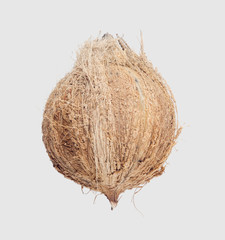 coconuts isolated on gary background clipping path.