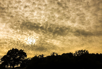 Bubble Clouds