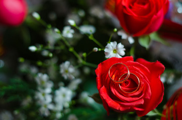 wedding rings on flowers roses