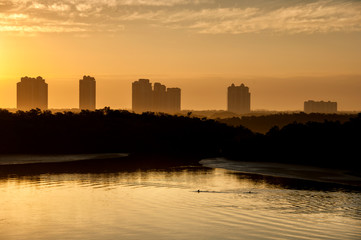 Dolphins swim beneath highrises in the hazy light of a golden sunrise over Estero Bay, Florida.