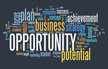 Opportunity in business - word cloud sign