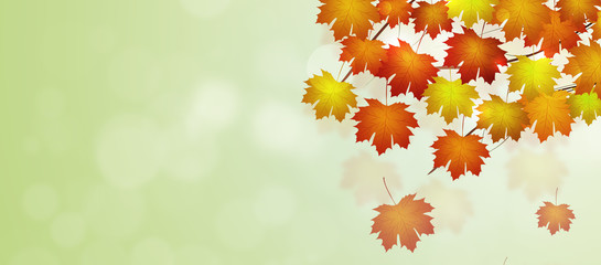 Naklejka na ściany i meble Autumn Leaves Banner