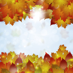 Autumn Leaves Background