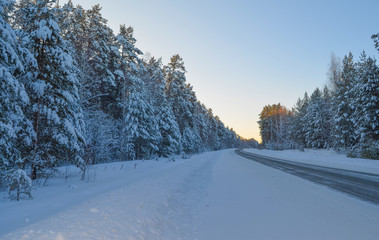 Road in the winter season.