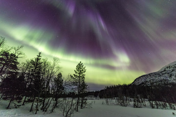 Nothern lights in Lofoten islands