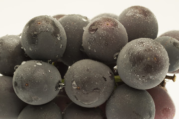 葡萄　巨峰　山梨県産　白抜き