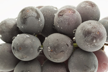 葡萄　巨峰　山梨県産　白抜き