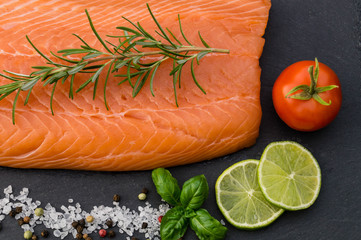 Lachs - Salmon Salar