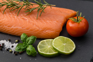 Lachs - Salmon Salar