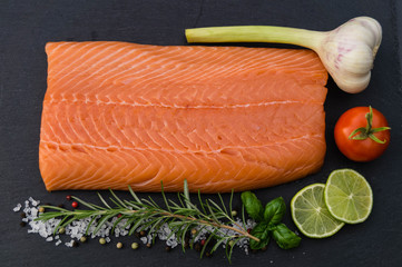 Lachs - Salmon Salar