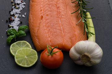 Lachs - Salmon Salar