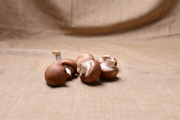 Shiitake mushroom on brown fabric cotton