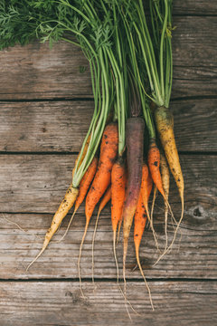 Organic carrots on a wooden table, farm food. Selective focus