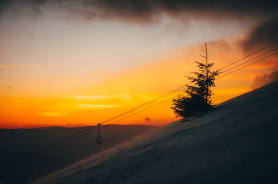 Coniferous tree in winter mountains. Colorful yellow and orange sunset in background, Ski resort, Christmas photo, Edit space