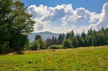 Beautiful summer landscape. Fairytale mountain meadow on a sunny day.