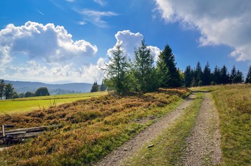 Fototapeta premium Beautiful summer landscape. Rural mountain path on the green hills.