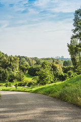 Fototapeta na wymiar asphalt road in green park with landscape on background