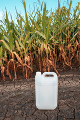 White plastic pesticide chemical jug in cornfield