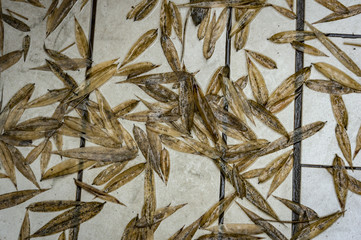 Original natural background of dry bamboo leaves scattered by the wind and rain on a granite terrace. Nature concept for design.