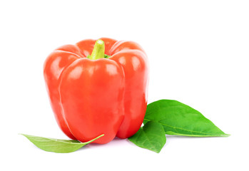 red pepper over white background