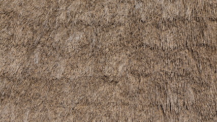 Thatched Straw Roof Texture Background