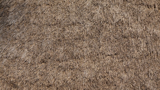 Thatched Straw Roof Texture Background