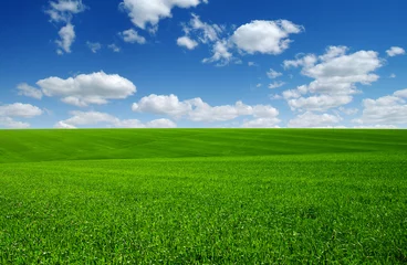 Wall murals Countryside green field and clouds