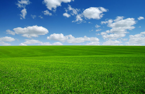 green field and clouds