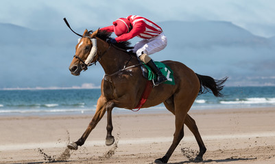 Race horse and jockey galloping fast on the beach - obrazy, fototapety, plakaty